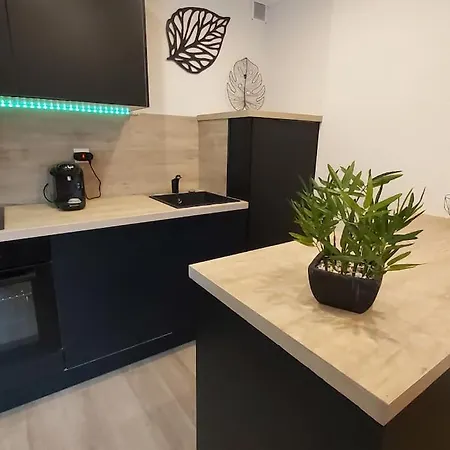 아파트 Studio Le Cedre